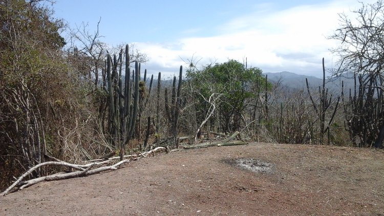 Puerto Cayo,Ecuador